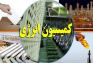 اعضا کمیسیون انرژی مجلس به بندرماهشهر سفر کردند