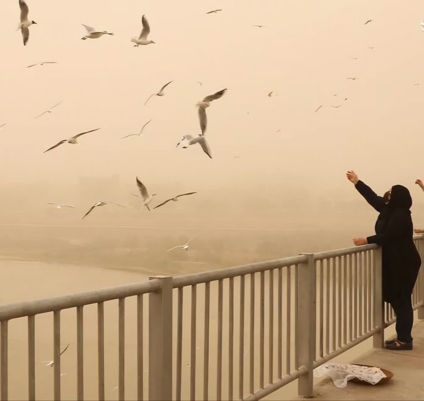 علت مرگ؛  خفگی بر اثر تنفس!