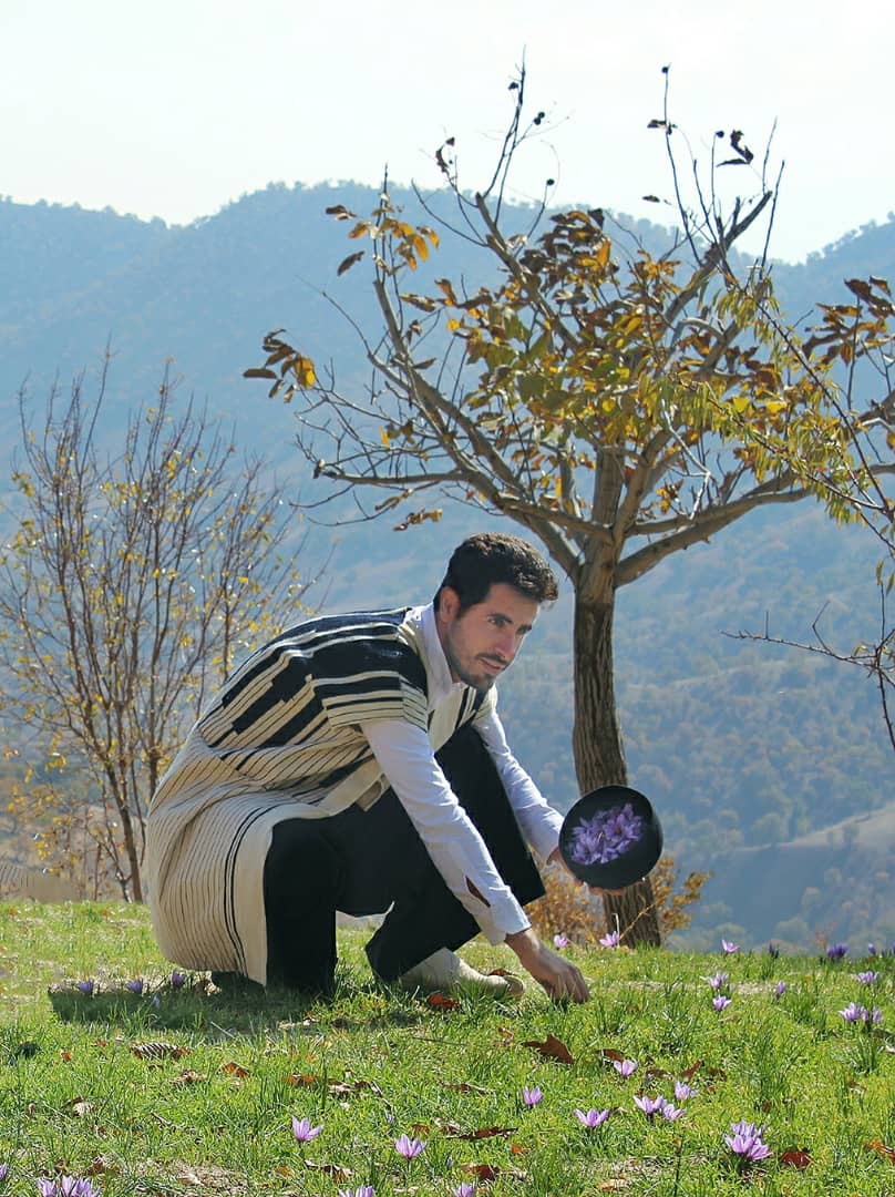 توسعه گردشگری با کشت زعفران در خوزستان