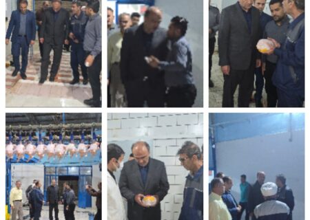 بازدید سرزده سرپرست سازمان جهاد کشاورزی خوزستان از کشتارگاه صنعتی طیور ایذه