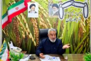 جلگه‌ی خوزستان، قربانی تصمیمات متناقض/ ممنوعیت کشت برنج، معیشت ۱۶۱ هزار خانوار را تهدید می‌کند