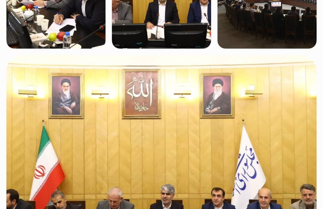 تصمیم‌گیری برای رفع مشکلات صنفی دانشجویان در جلسه مشترک فراکسیون دانشگاهیان مجلس با نمایندگان وزارتین علوم و بهداشت