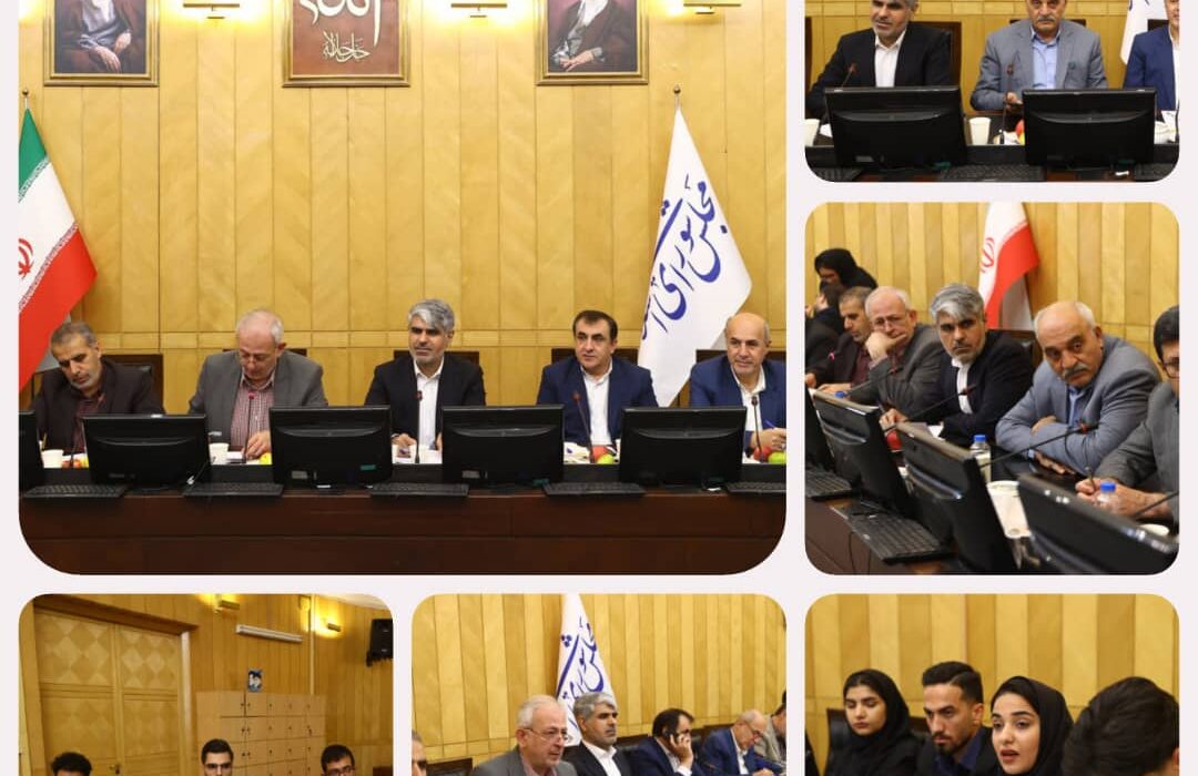 ابراهیم‌پور : تلاش مجلس برای کاهش مدرک‌گرایی و ارتقای مهارت‌محوری دانشگاه‌ها/ حاجی بابایی: اساتید و دانشجویان باید درگیر حل مسائل واقعی صنعت و جامعه شوند