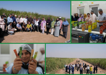 شاعران و داستان‌نویسان از نیشکر فارابی بازدید کردند/ خوزستان میزبان هنرمندان در سومین شکرستان ادبی شد