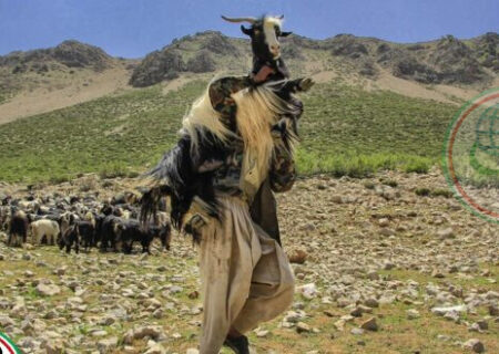 سازمان عشایر؛ کوچک‌ترین نهاد، بزرگ‌ترین نقش در امنیت و تولید ملی