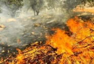 مهار آتش‌سوزی در ارتفاعات منگشت ایذه؛ تلاش ۳۰ ساعته نیروهای یگان حفاظت منابع طبیعی