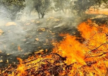مهار آتش‌سوزی در ارتفاعات منگشت ایذه؛ تلاش ۳۰ ساعته نیروهای یگان حفاظت منابع طبیعی
