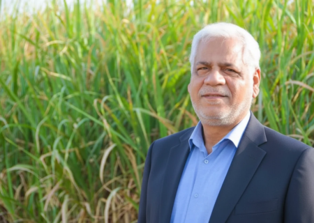 پرنده درّاج نماد پنجمین جشنواره شکرستان است