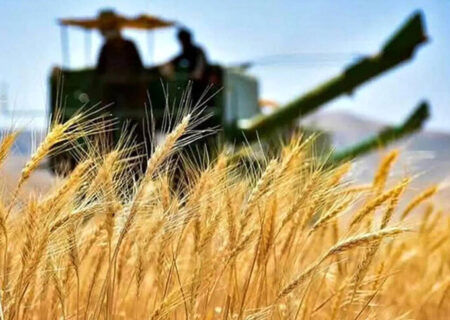آمادگی ۱۱۲ مرکز خرید گندم در خوزستان/ کشاورزان با اطمینان، گندم خود را تحویل بدهند